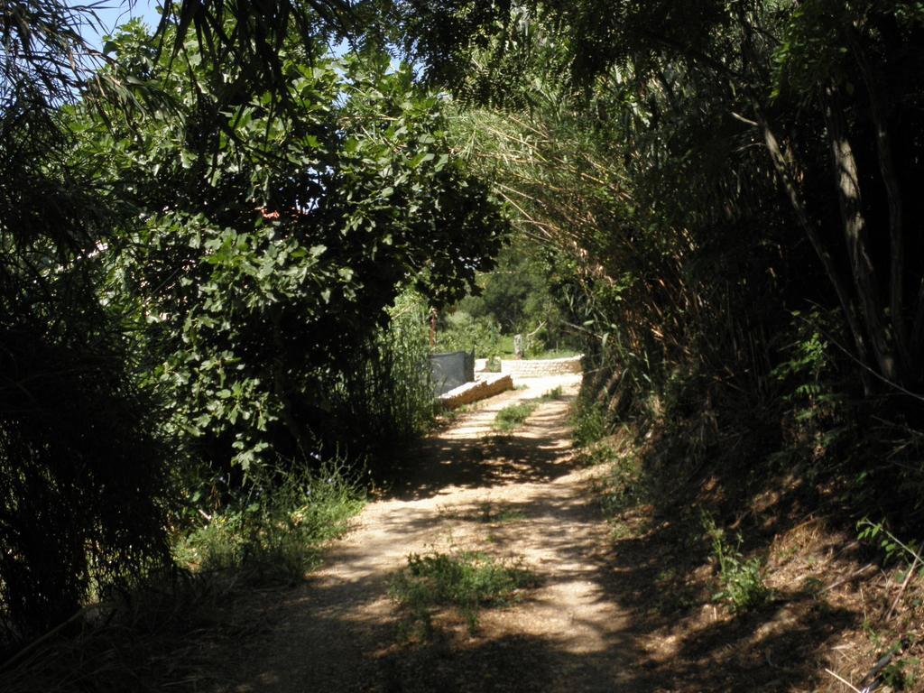 Holiday Home Borna 닌 객실 사진